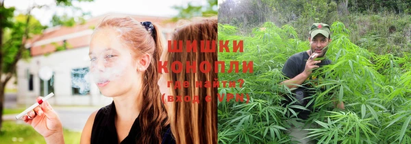 крисы Богданович