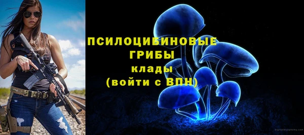 ECSTASY Богородск