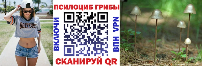 Галлюциногенные грибы прущие грибы  цены наркотик  Михайловка 